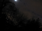 IMG_2749.JPG
