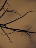 IMG_2766.JPG