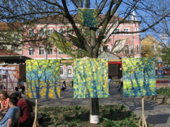 IMG_2989.JPG